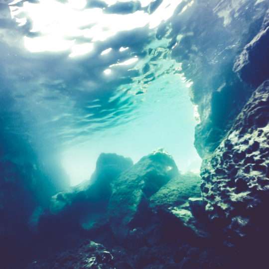 Immersioni