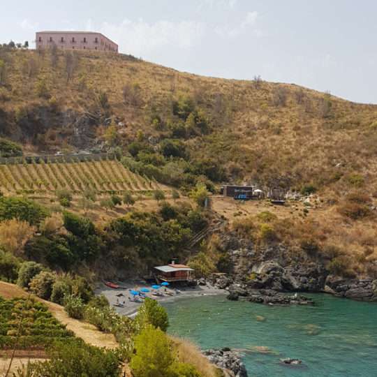 Macchia Mediterranea