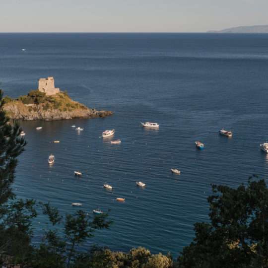 Mare