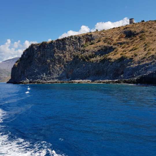Mare