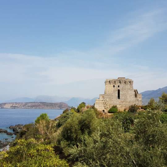 Torre Crawford