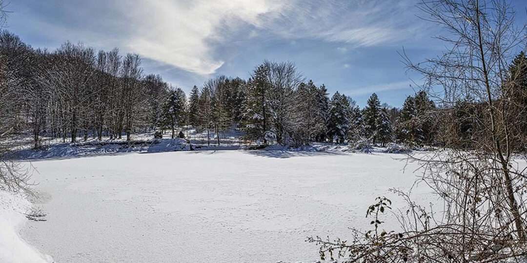 Parco del Pollino